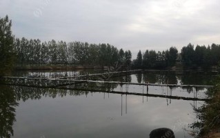 临沂义堂钓鱼