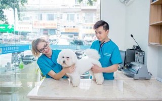 常熟宠物店联系电话