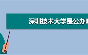 深圳技术大学大数据与互联网学院教师