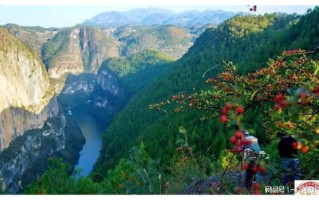 与辉同行阅山城：奉节千年诗韵彩云间