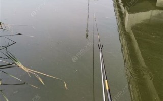 选择垂钓地点