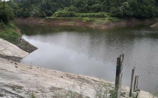 武汉九龙水库垂钓群介绍