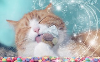 大猩猩隔着玻璃的比划，谢谢，吃不了