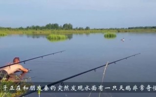 河边垂钓唯美句子