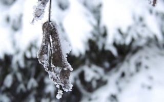 暴雨大暴雪近期将罕见同框，气候现象及其影响分析