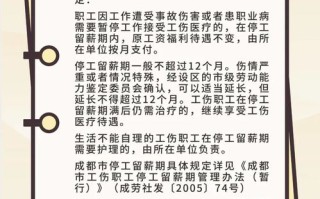 宠物喂养怎么接单