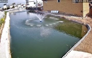探索茅山农场垂钓之乐