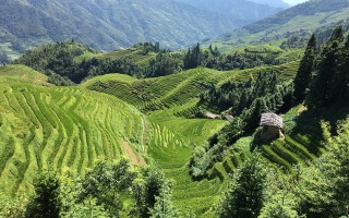 2022年春节高速免费通行指南，出行无忧，省钱又省心