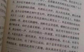 大数据著作中的句子摘抄有哪些