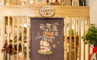 汉阳宠物市场在哪里进货的