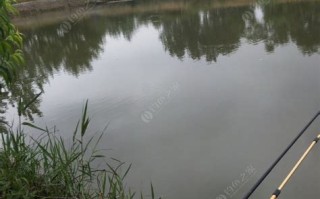 扬州垂钓中心