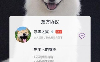 宠物直播平台哪个好