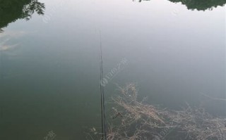 高邮野钓