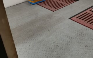 火车上怎么带宠物托运