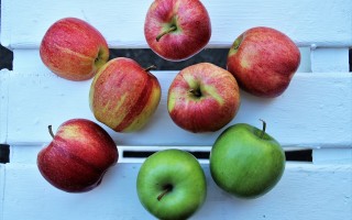 iPhone 16全颜色曝光，科技与美学的完美融合