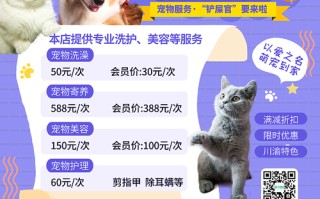 洪山宠物市场
