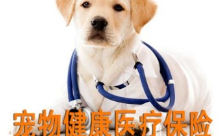 开宠物保险公司怎么样