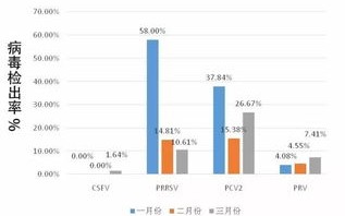 大数据在防疫中的应用经验和做法