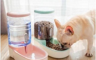 宠物饮水机不出水是什么原因