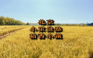 稻香垂钓园电话