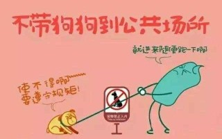 忻州宠物领养中心