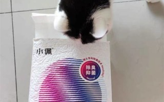 小佩宠物赚钱吗