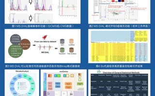 bi数据分析培训