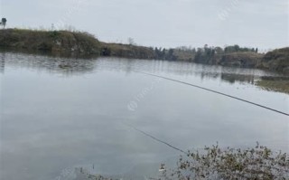德阳钓小龙虾