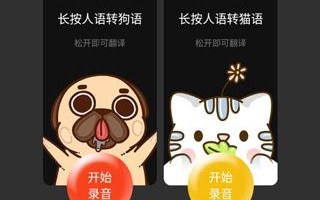 宠物交流软件：为您和宠物之间建立更紧密联系的桥梁