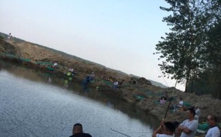 临沂钓点推荐