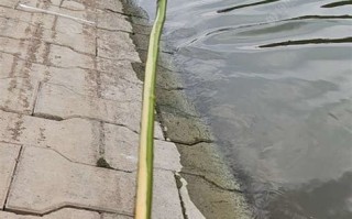 双牌至江村的班车时间表