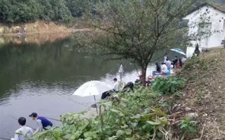青龙湾垂钓电话