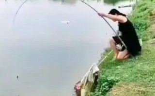 新蔡县免费野钓湖库