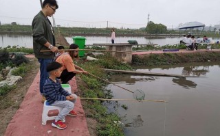 青岛小龙虾价格多少钱一斤