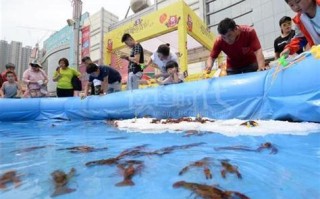 信阳哪里钓鱼的好地方