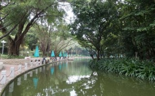 1.淮阳湖公园