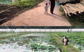 南京适合垂钓的地方