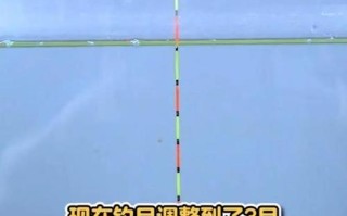 垂钓鲤鱼最佳钩距是多少