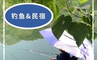 惠州附近民宿度假钓鱼