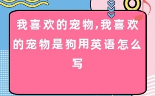 喜欢宠物怎么表达