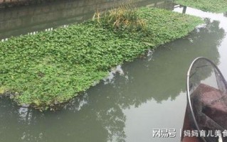 城市河道钓鱼违法吗