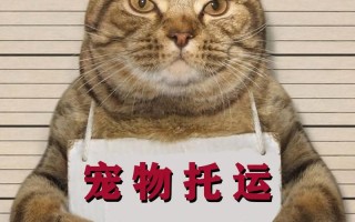 火车托运宠物的流程和注意事项