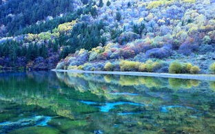 外国网友热议九寨沟，印度网友质疑九寨沟美景，称其国家遍地都是