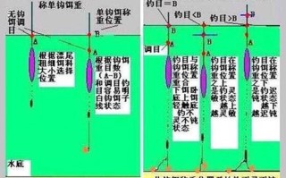 春季黑坑钓鲫鱼技巧