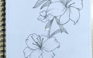 步骤一：选择合适的画材和工具