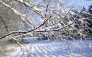 河南地区现暴雪的天气现象及其影响研究