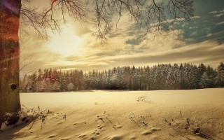 山东多地迎来初冬首雪，美丽雪景下的生活点滴