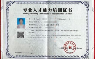 角色概述