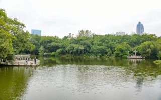 公园垂钓设计方案怎么写