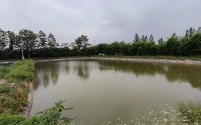 垂钓鱼塘投资成本及建议